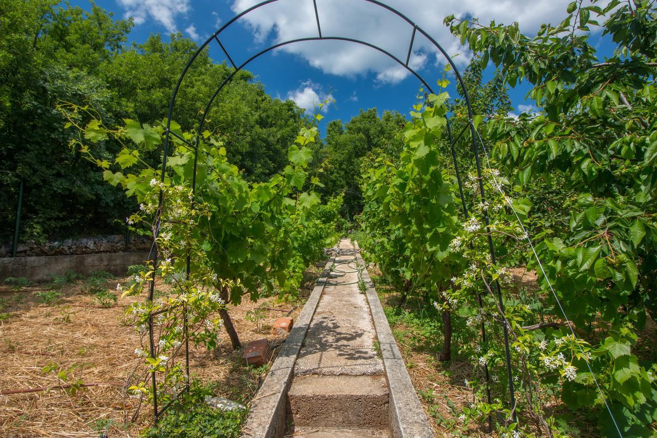 Organic Gardens Villa Криквеница Екстериор снимка